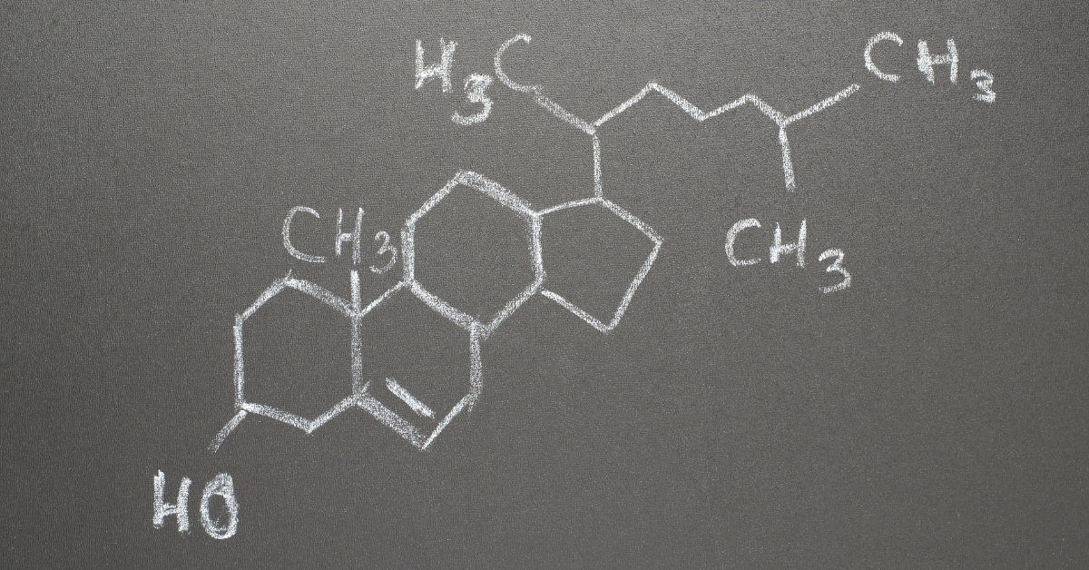 Cholesterol molecule