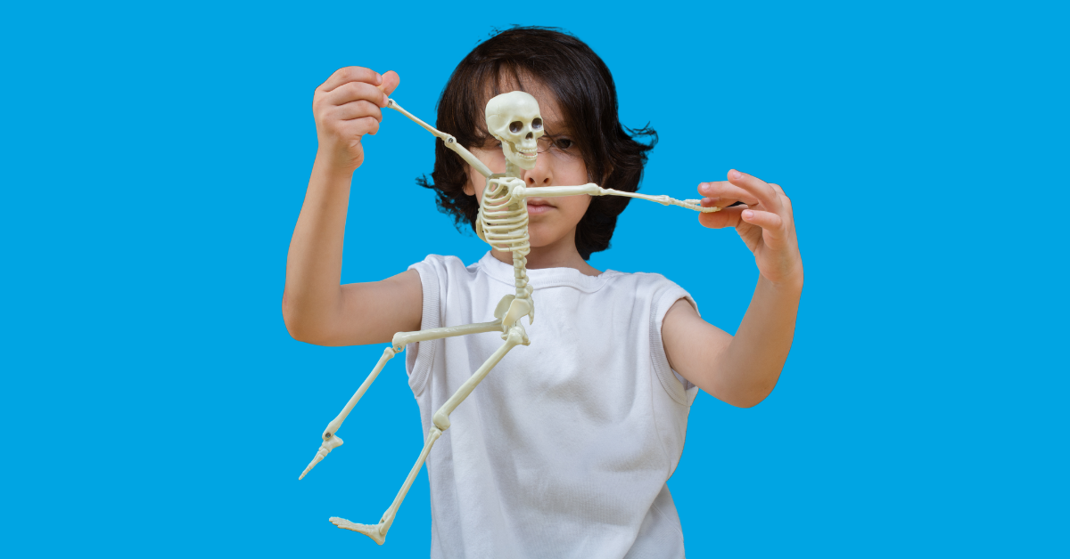 A child holding a small plastic skeleton