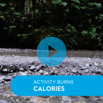Video: How Many Calories Does Activity Burn