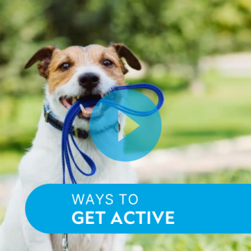 Video: Ways to Get Active