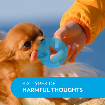 Video: Six Types of Harmful Thinking